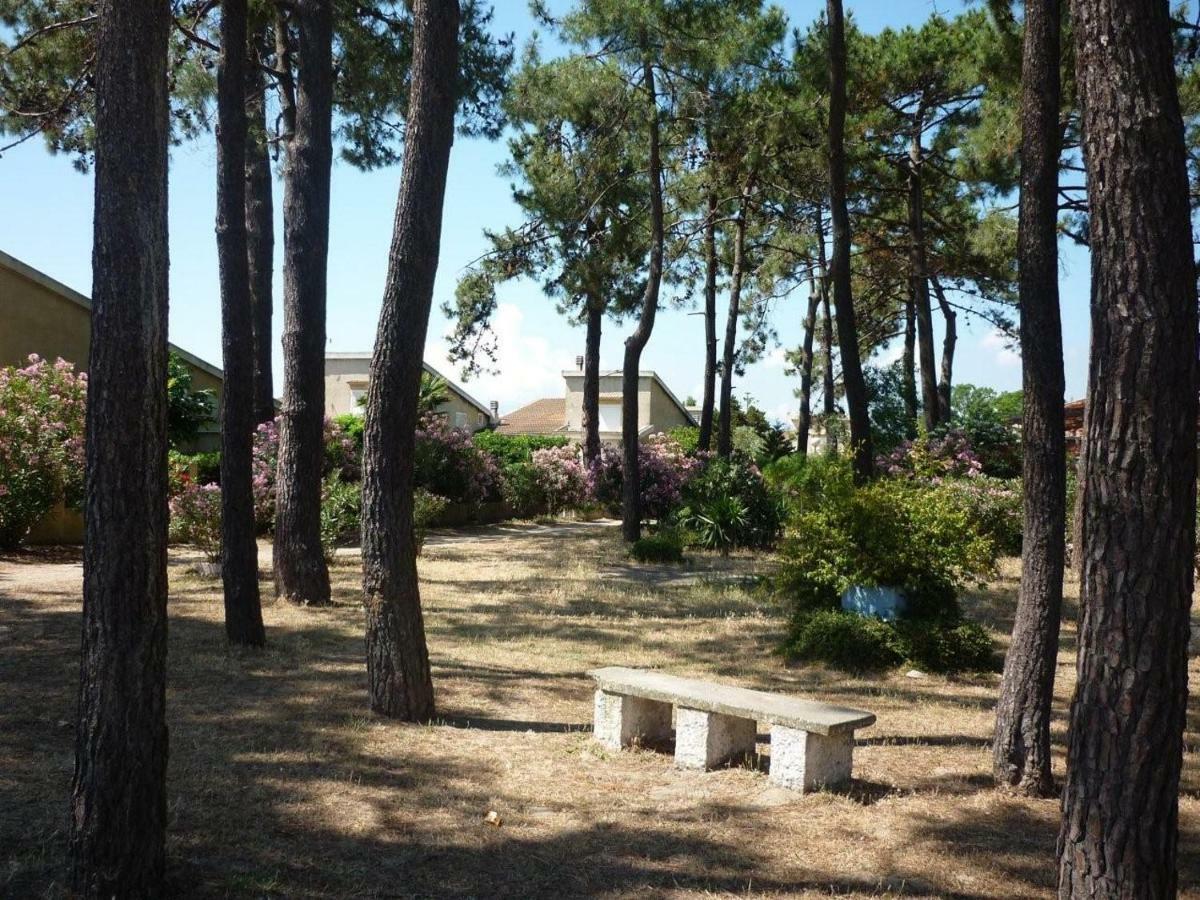 Sables De Biguglia Cordon Lagunaire * Borgo (Corsica)